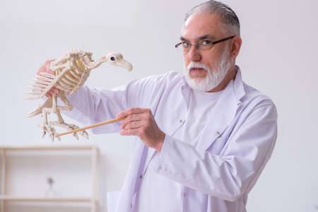 Old male paleontologist examining birds at lab