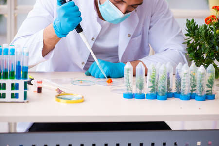 Young male chemist perfumer working in the lab