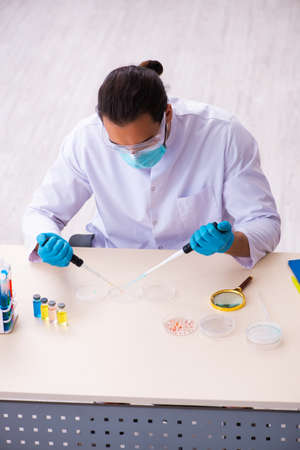 Young male chemist working in the labの写真素材