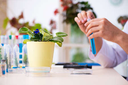 Young male chemist perfumer working in the lab