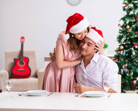 Young couple preparing for christmas mealの写真素材