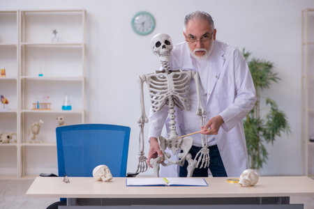 Old male anatomy teacher demonstrating human skeletonの写真素材