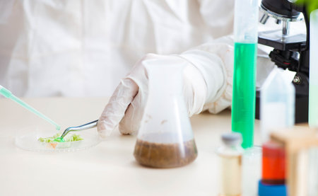 The male biochemist working in the lab on plantsの写真素材
