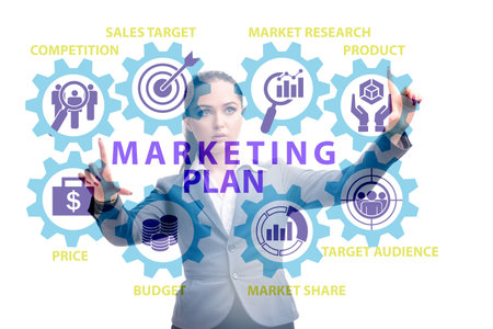 Marketing plan concept illustration with businesswomanの写真素材