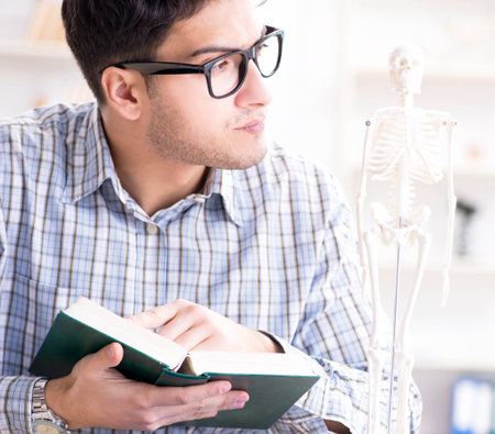 Medical student studing the skeletonの写真素材