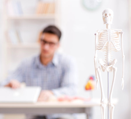 Medical student studying the skeletonの写真素材