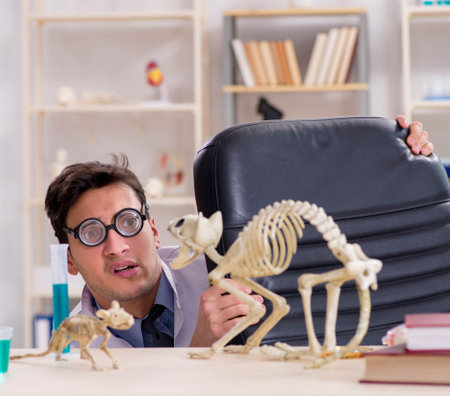 Funny scientist with cat skeleton in lab clinicの写真素材