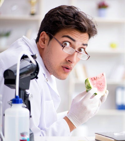 Scientist testing watermelon in labの写真素材