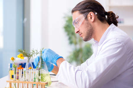 Young male chemist working in the lab