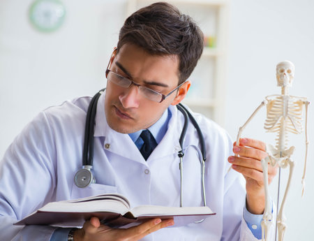 Doctor student studying the bones of skeletonの写真素材