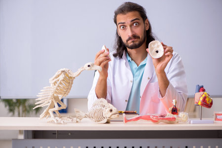 Young male zoologist examining skeletonの写真素材