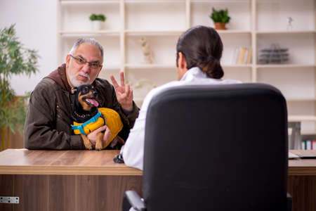 Young male doctor vet examining dog in the clinicの写真素材