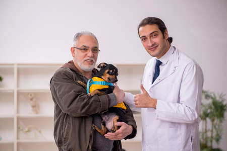 Young male doctor vet examining dog in the clinic