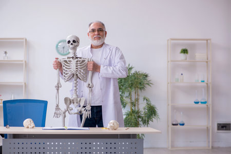 Old male anatomy teacher demonstrating human skeletonの写真素材