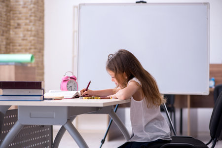 Small girl preparing for exams at homeの写真素材