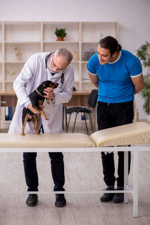 Old male vet doctor examining dog in the clinicの写真素材