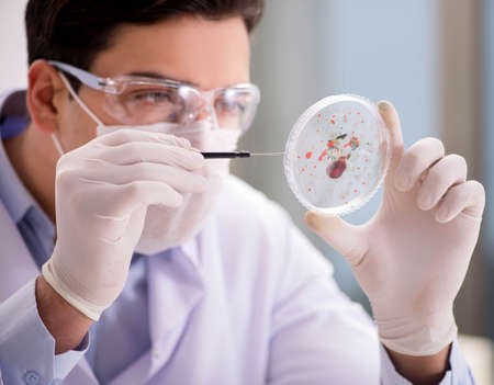 Male doctor working in the lab on virus vaccine