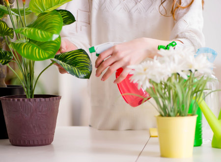Young woman looking after plants at homeの写真素材