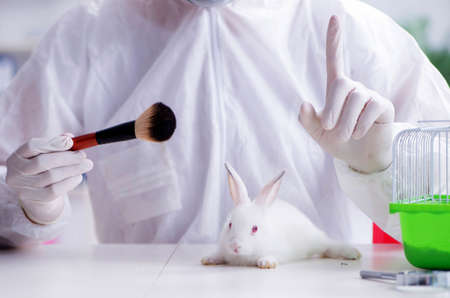 White rabbit in scientific lab experimentの写真素材
