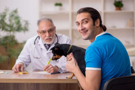 Old male vet doctor examining dog in the clinicの写真素材