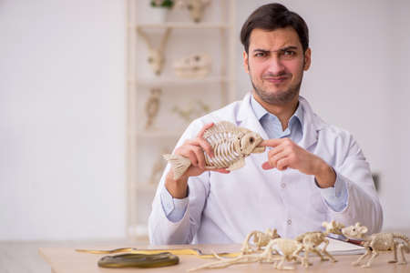 Young male paleontologist examining ancient animals at lab