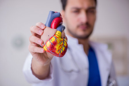 Young male doctor cardiologist in the classroomの写真素材