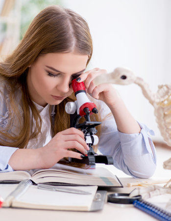 Student examining animal skeleton in classroomの写真素材