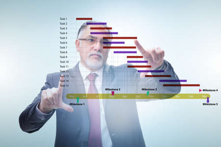 Businessman in project management concept