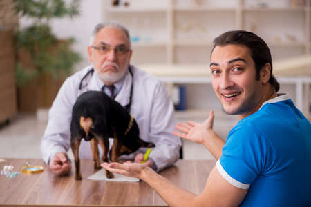 Old male vet doctor examining dog in the clinicの写真素材