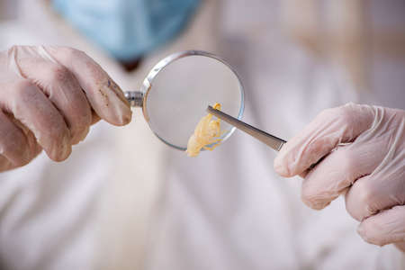 Young male chemist zoologist working at the lab during pandemicの写真素材