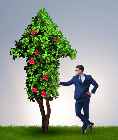 Businessman in sustainable green development conceptの写真素材