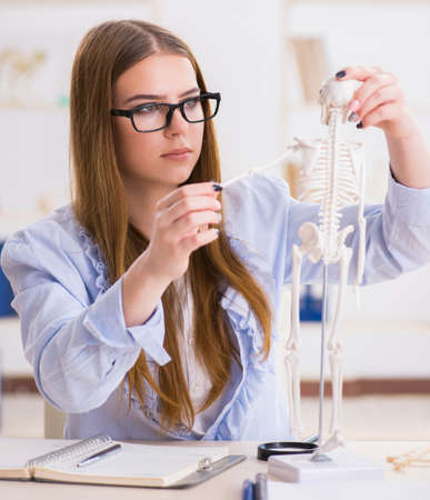 Student sitting in classroom and studying skeletonの写真素材