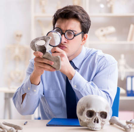 Funny crazy professor studying human skeletonの写真素材