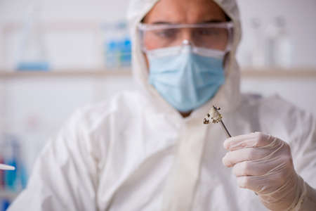 Young male chemist zoologist working at the lab during pandemic