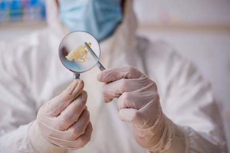 Young male chemist zoologist working at the lab during pandemic