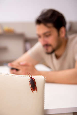 Young man and a lot of cockroaches at home