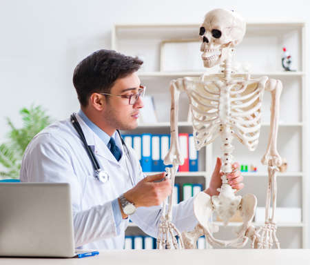 Yong male doctor with skeleton isolated on whiteの写真素材