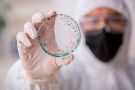 Young male chemist working at the lab during pandemic