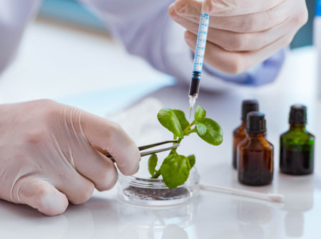 Biotechnology scientist working in the labの写真素材