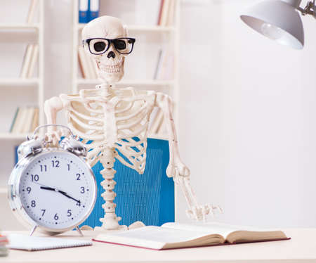 Skeleton businessman working in the officeの写真素材