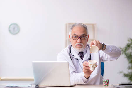 Old male doctor demonstrating human skullの写真素材