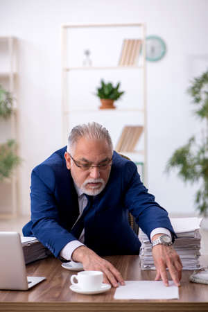 Old male employee working in the officeの写真素材
