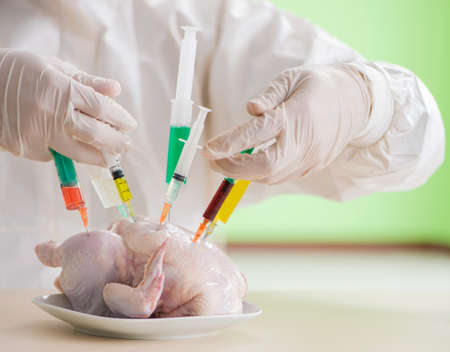 Lab assistant testing GMO chickenの写真素材