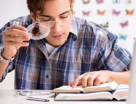 The student entomologist studying new species of butterflies