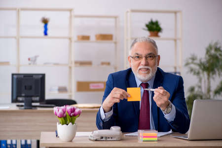 Old male employee working in the office