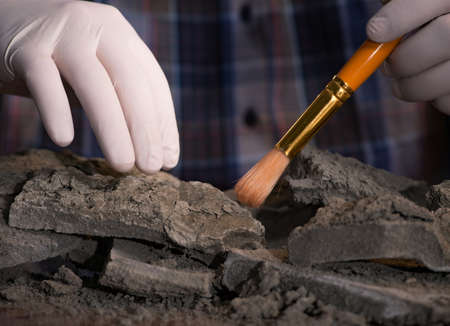 Archeologist working late night in officeの写真素材