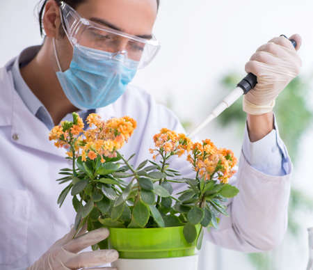 Young male chemist working in the labの写真素材