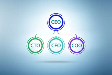 Illustration of organisation chart with various executives