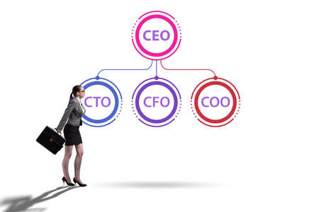 Illustration of organisation chart with various executivesの写真素材