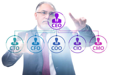 Businessman in the organisation chart conceptの写真素材